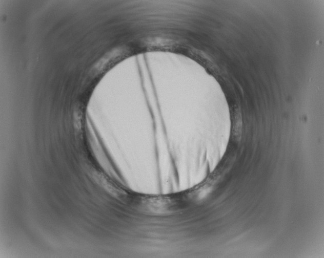 X0000080110282200701051337