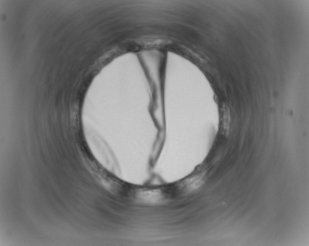 X0000080110283200701051337