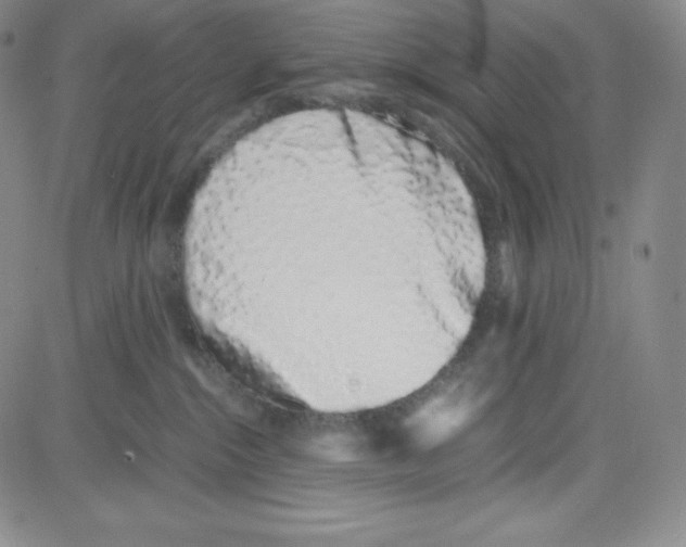 X0000080110284200701051337