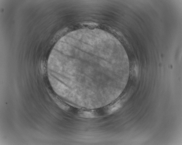 X0000080110285200701051337