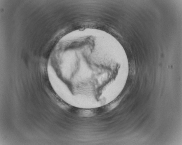 X0000080110287200701051337