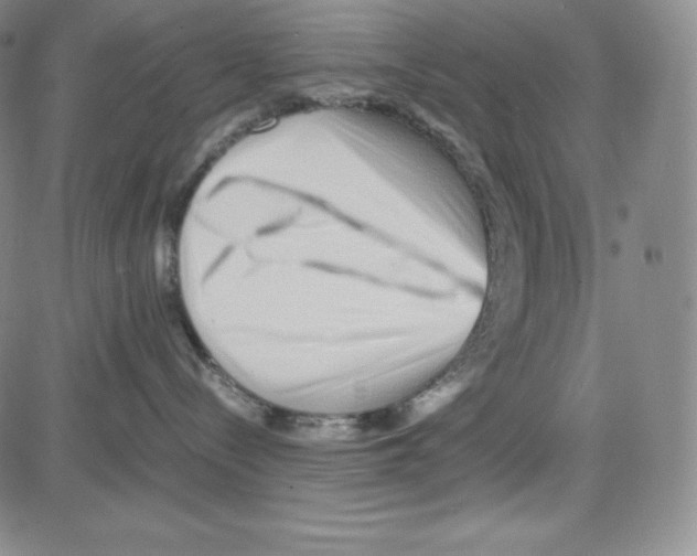 X0000080110288200701051337