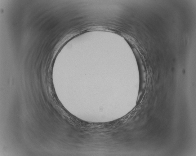 X0000080110289200701051336