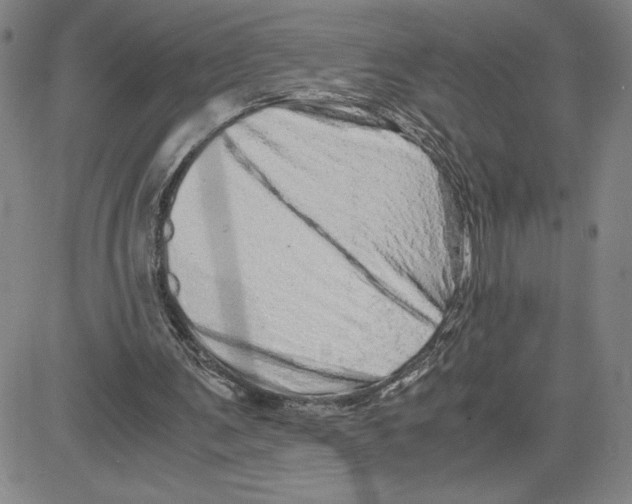 X0000080110291200701051336