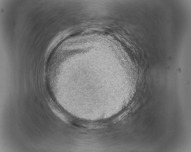 X0000080110293200701051336