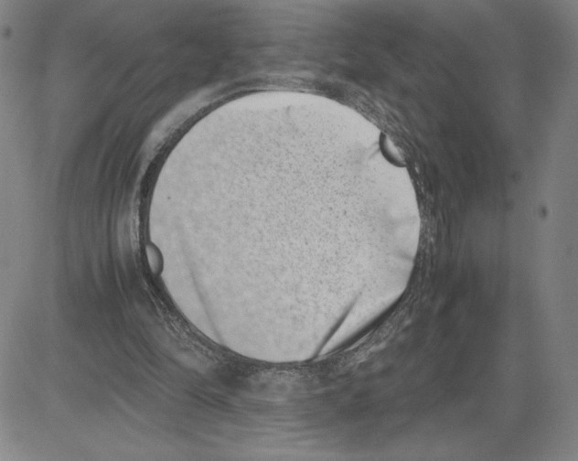 X0000080110294200701051336