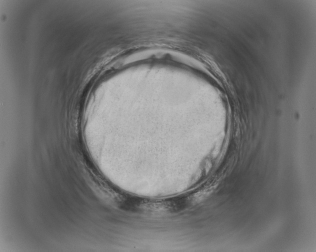 X0000080110299200701051336