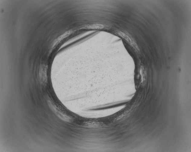 X0000080110300200701051336