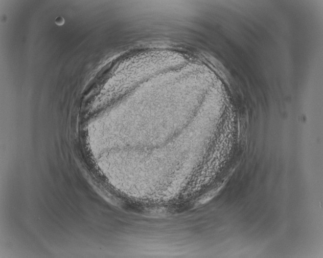 X0000080110301200701051336