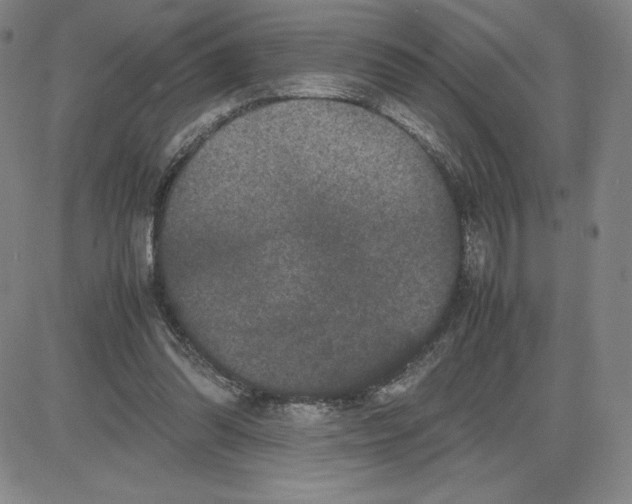 X0000080110302200701051336