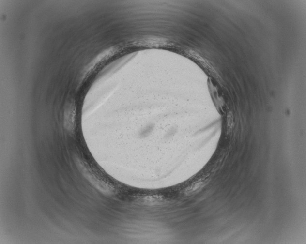 X0000080110304200701051336