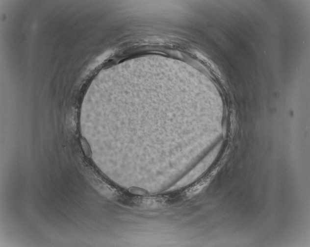 X0000080110305200701051336