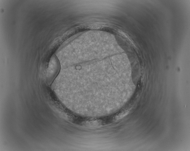 X0000080110307200701051336