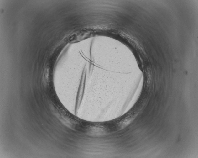 X0000080110308200701051336