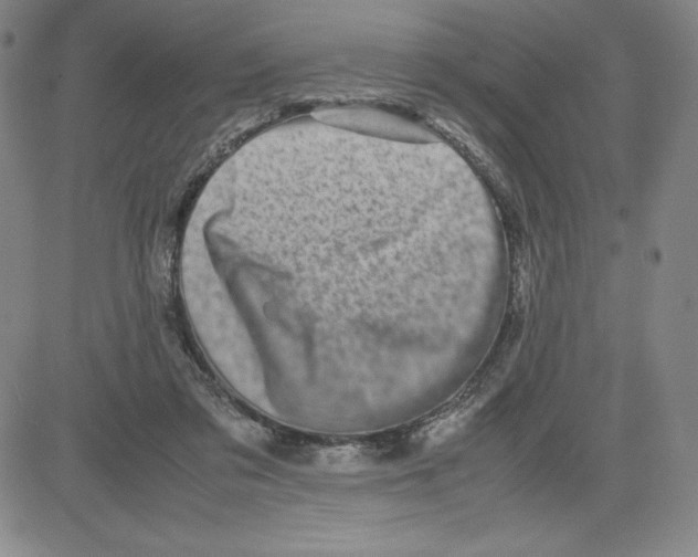 X0000080110309200701051336