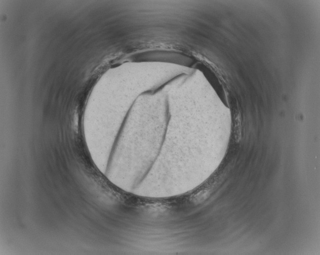 X0000080110310200701051336