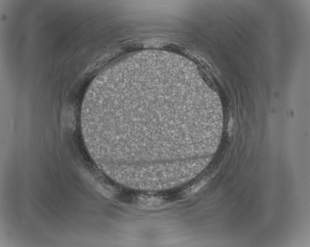 X0000080110311200701051336