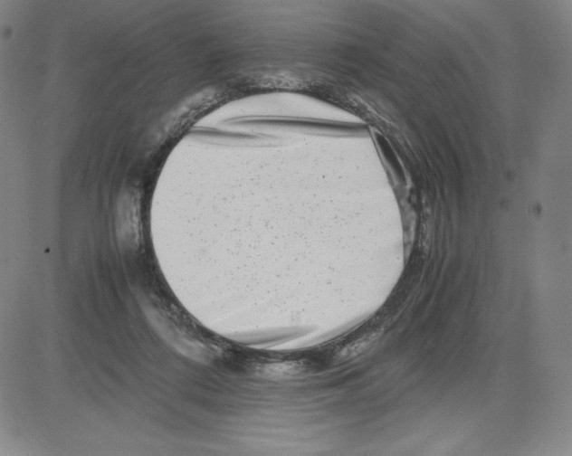 X0000080110312200701051336