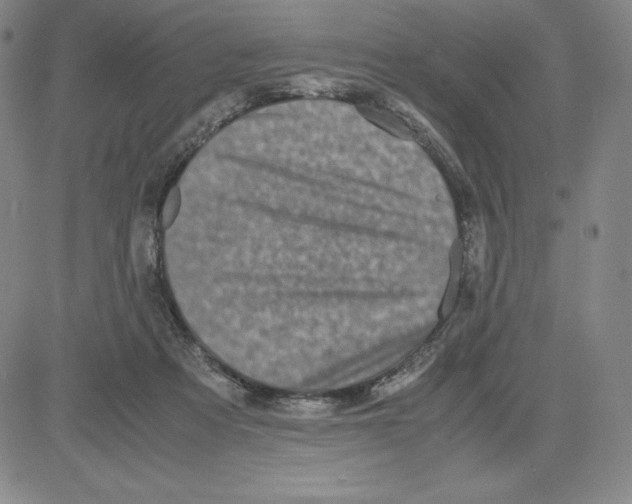 X0000080110313200701051336