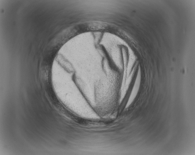 X0000080110315200701051336