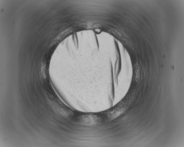 X0000080110316200701051336