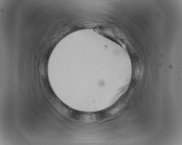 X0000080110317200701051336