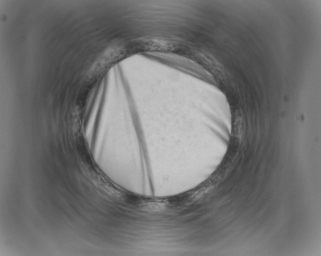 X0000080110318200701051336