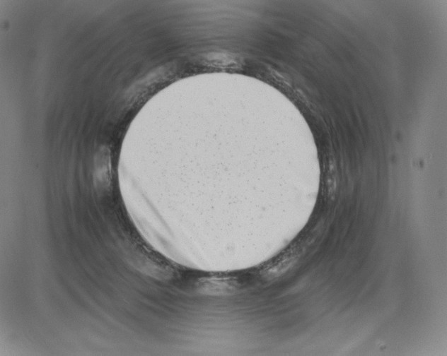 X0000080110320200701051336