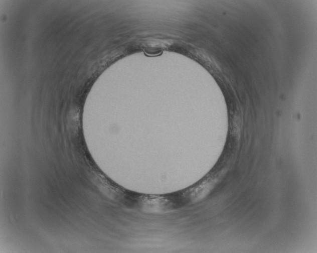 X0000080110321200701051336