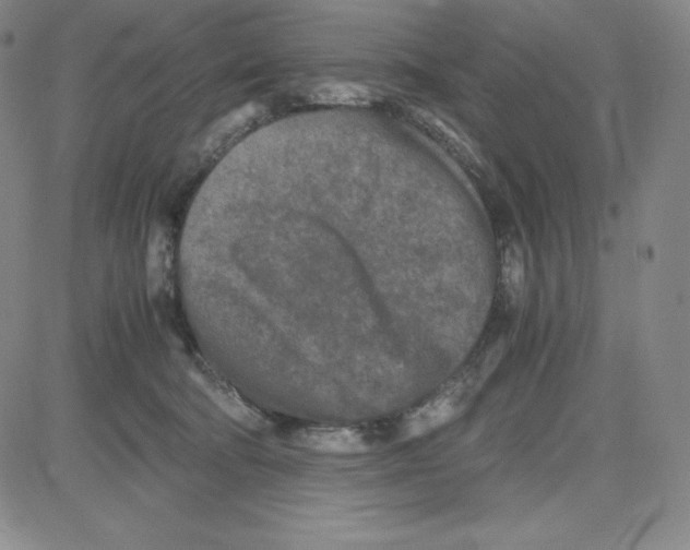 X0000080110322200701051336