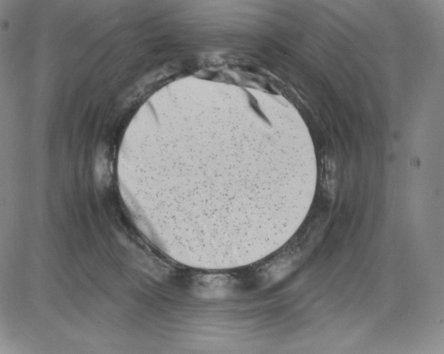 X0000080110324200701051336