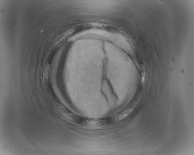 X0000080110325200701051336