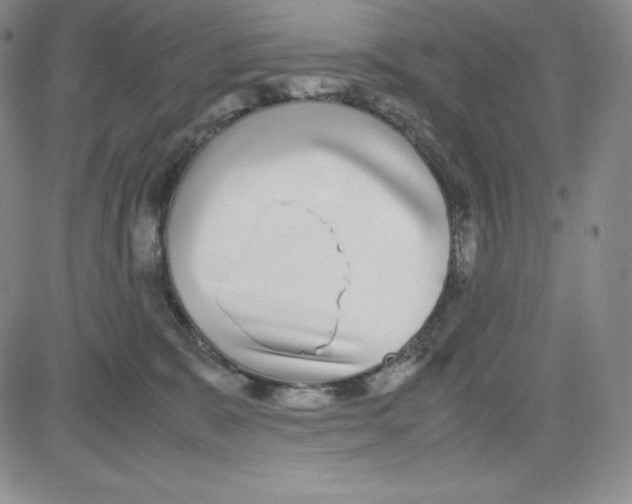 X0000080110327200701051336