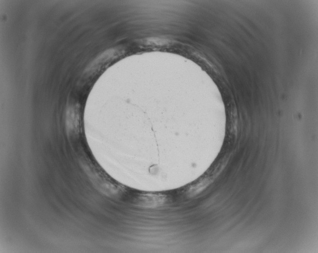 X0000080110328200701051336