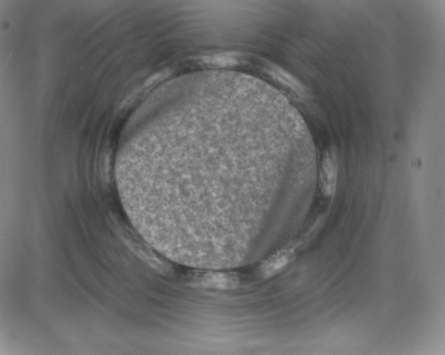 X0000080110330200701051336