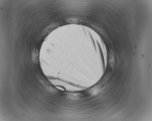 X0000080110332200701051336