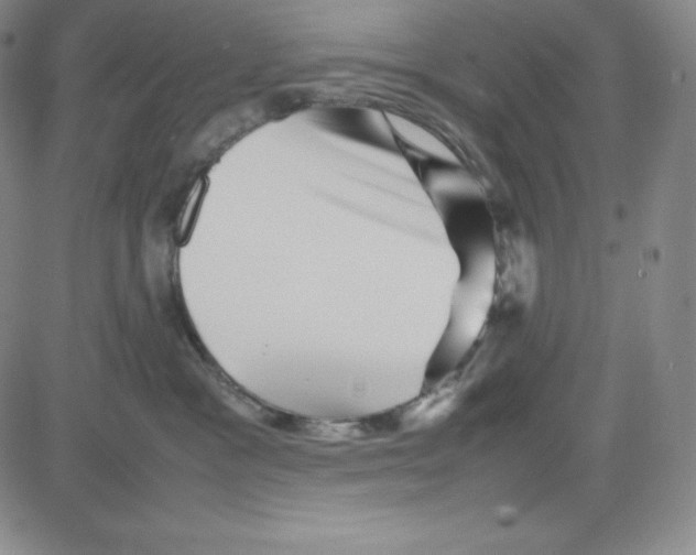 X0000080110333200701051336