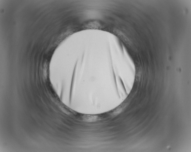 X0000080110334200701051336