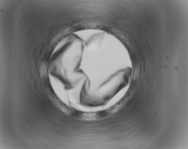 X0000080110335200701051336