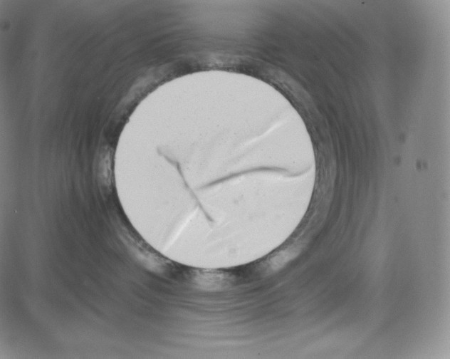 X0000080110336200701051336