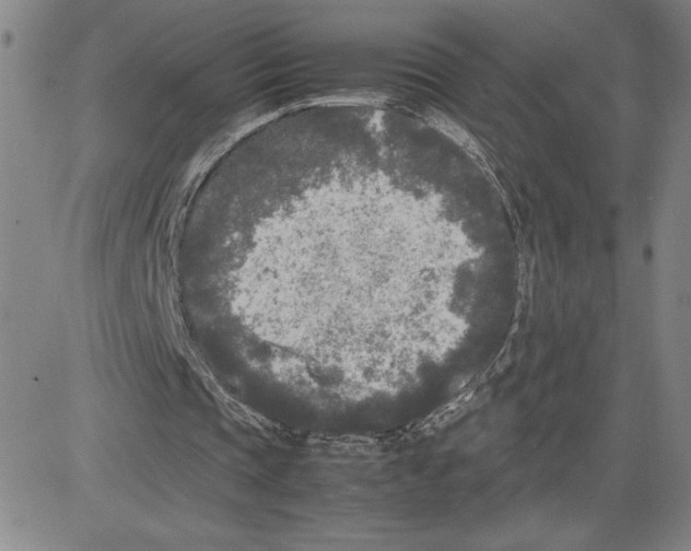 X0000080110337200701051335