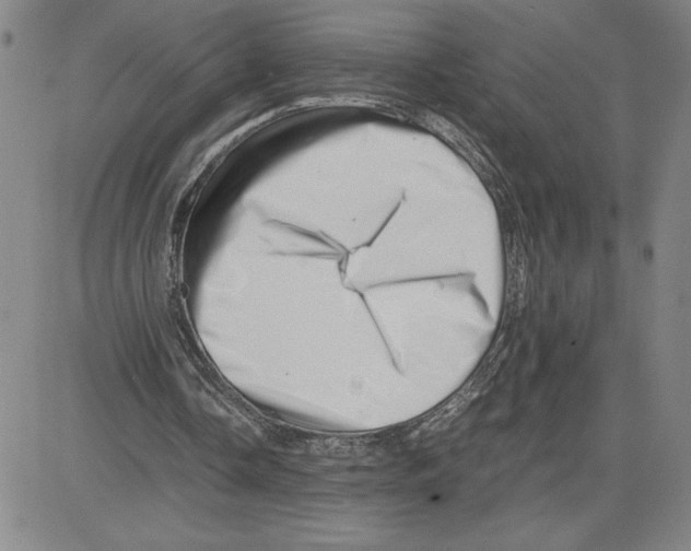 X0000080110338200701051335