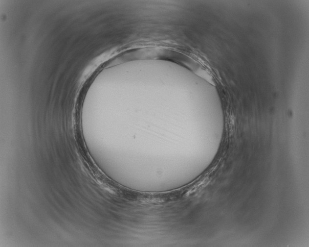 X0000080110340200701051335