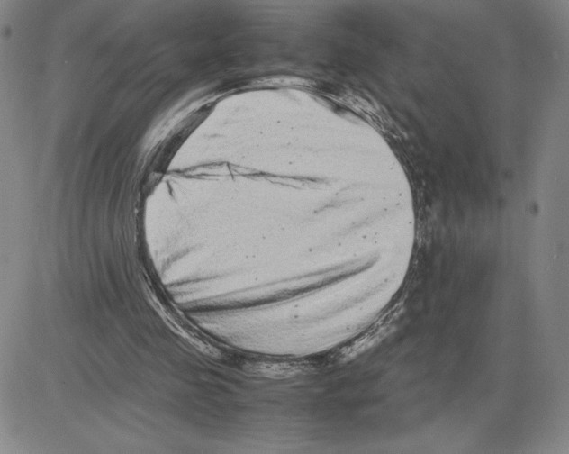 X0000080110341200701051335