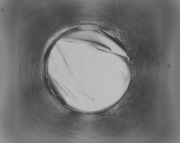 X0000080110342200701051335