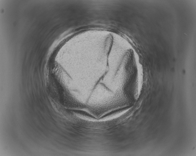 X0000080110343200701051335