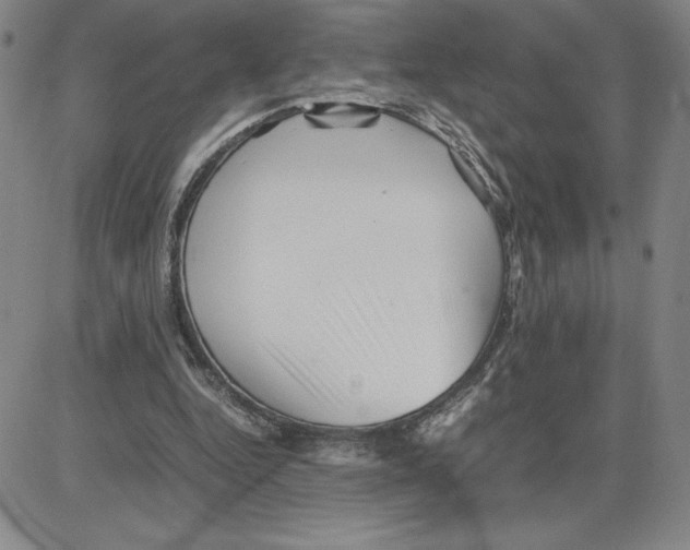 X0000080110344200701051335