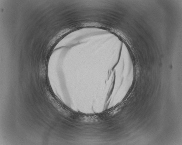 X0000080110345200701051335