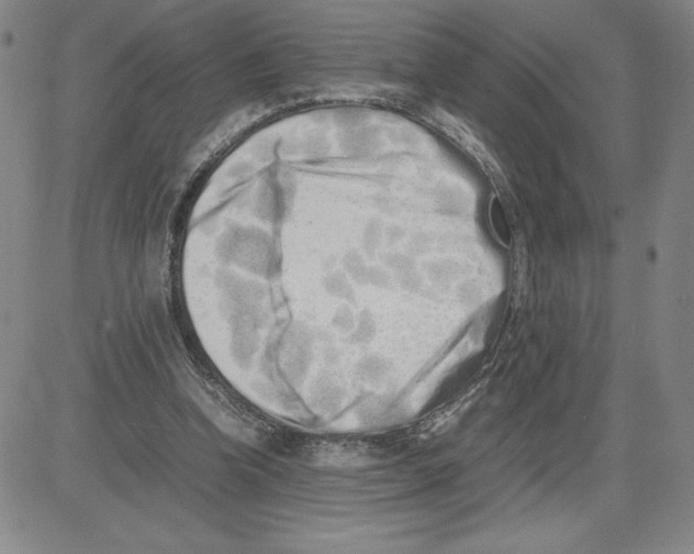 X0000080110346200701051335