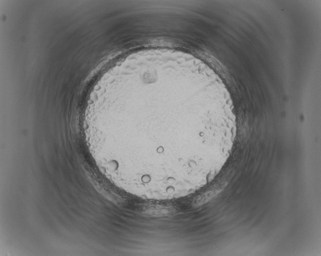 X0000080110347200701051335